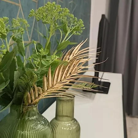 View Saperow - Parter, Przy Centrum Świdnica