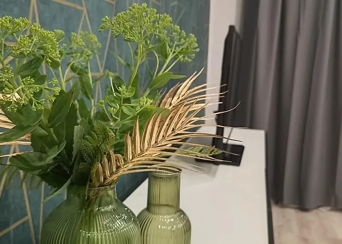 View Saperow - Parter, Przy Centrum Świdnica